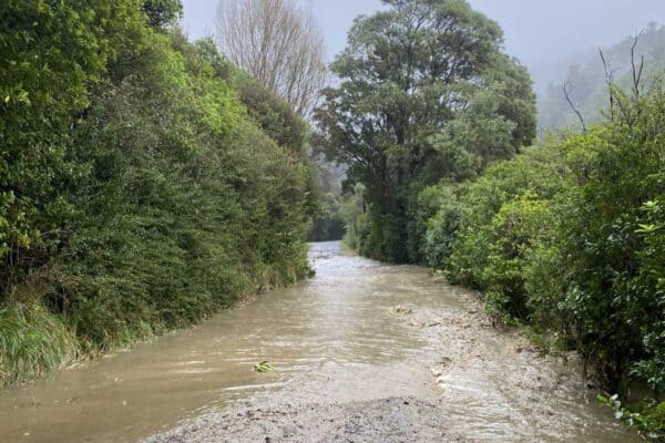 Science To Improve Resilience Practise